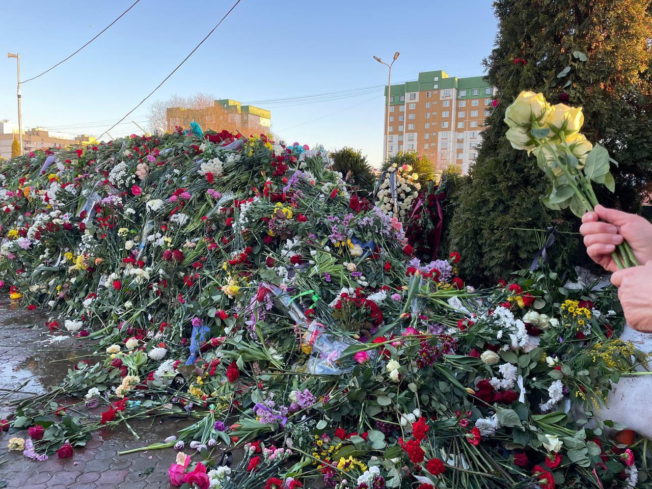 Вот тебе трёхдневное голосование, плешивая залупа