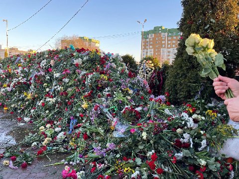 Вот тебе трёхдневное голосование, плешивая залупа