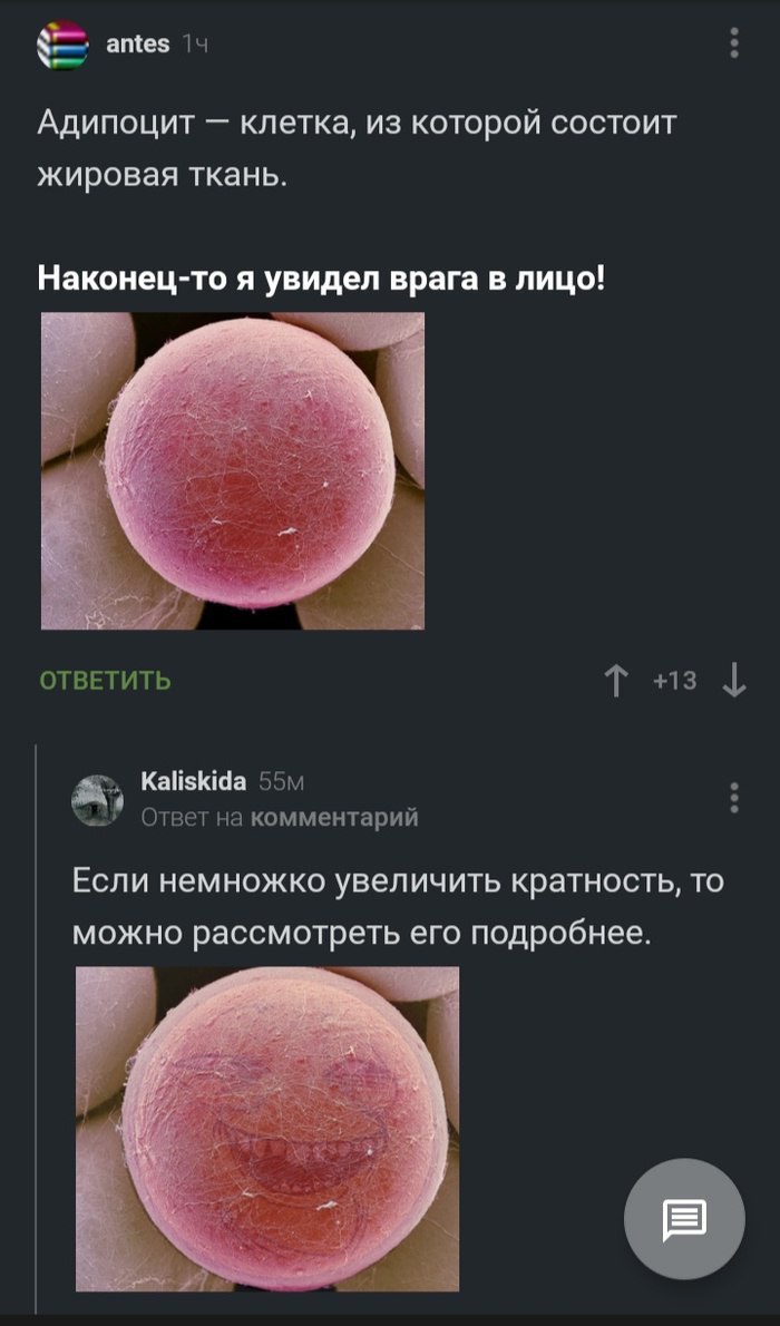 antes |4 Адипоцит клетка, из которой состоит жировая ткань. Наконец-то я увидел врага в лицо! 7 ОТВЕТИТЬ Kaliskida Ответ на комментарий Если немножко увеличить кратность, то можно рассмотреть его подр