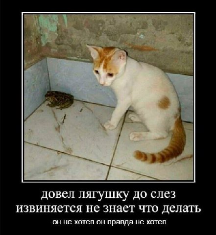 7 довел лягушку до слез извиняется не знает что делать он не хотел он правда не хотел