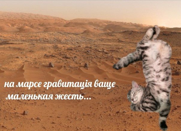 на марсе гравиташя ваше ‚маленькая жесть... ‘4