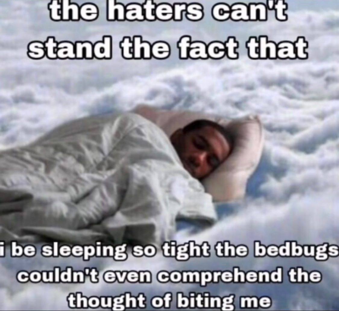 the naters can fact that™ 4 ibe sleeping the bedbugs comprehend the thought of biting me