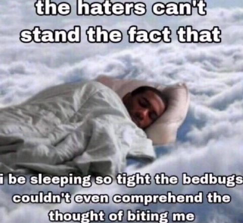 the naters can fact that™ 4 ibe sleeping the bedbugs comprehend the thought of biting me