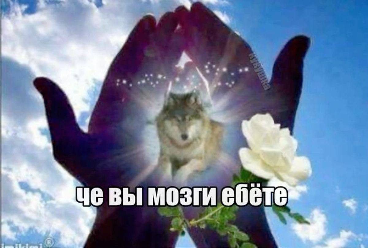 вы мозги ебё