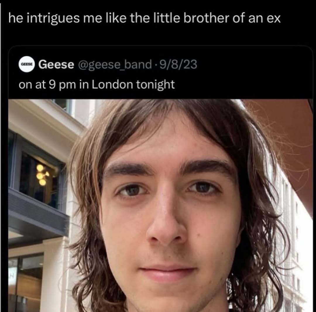 he intrigues me like the little brother of an Geese onat 9