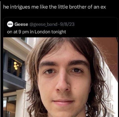 he intrigues me like the little brother of an Geese onat 9