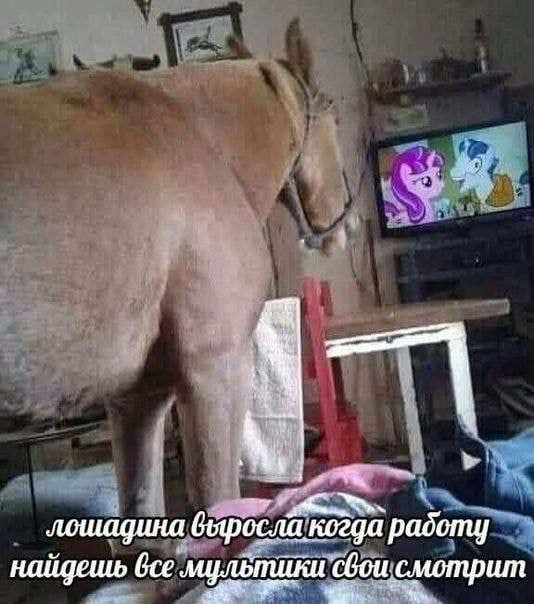 лошадина виросла когда радоту найдешь мультики сбои смотрит