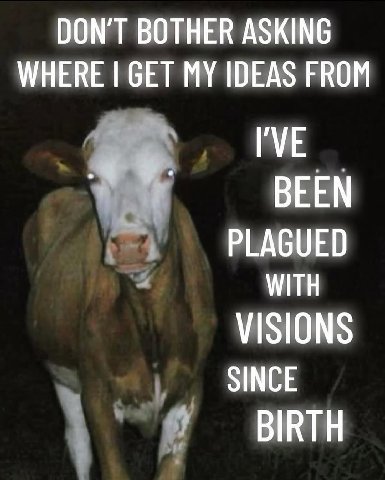 DON'T BOTHER ASKING WHERE GET MY IDEAS FROM BEEN PLAGUED WITH VISIONS SINCE BIRTH