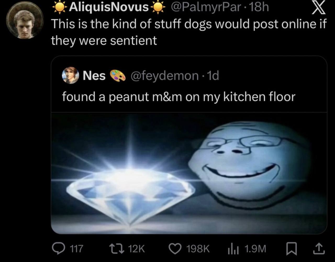 AliquisNovus This is the kind of stuff dogs would post online if they were sentient Nes found a peanut on my kitchen floor