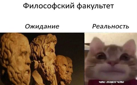 Философский факультет Ожидание Реальность