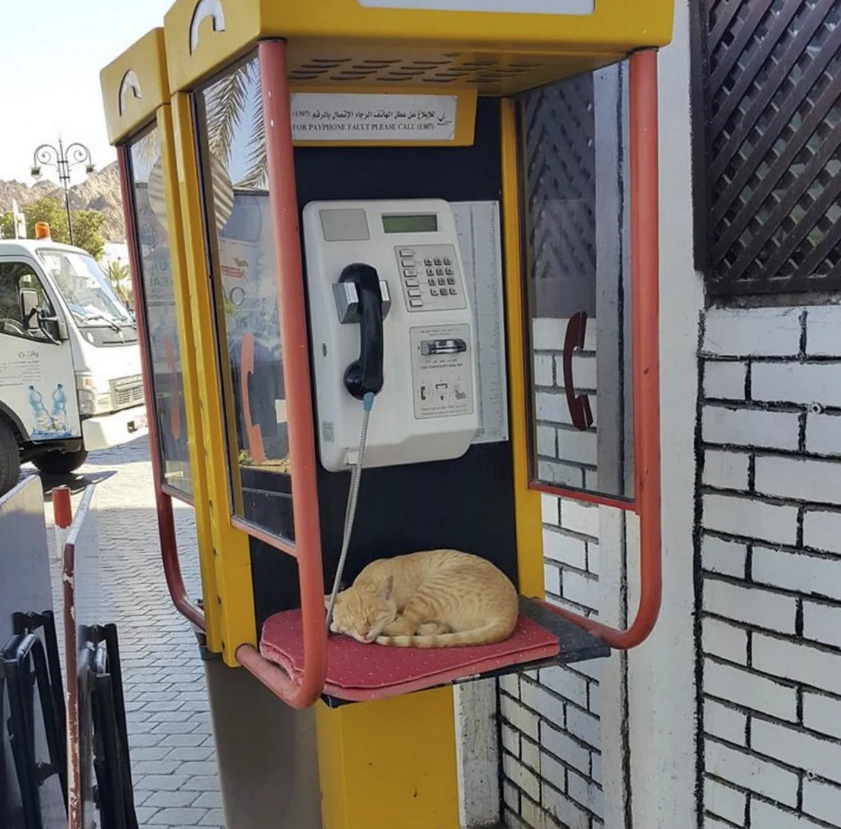 A\ FoR PAYPHONE A ete tee eee 3