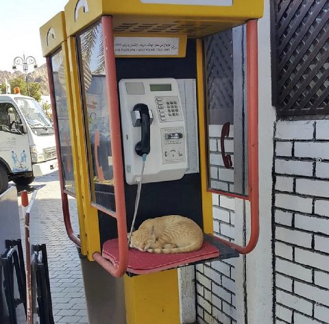 A\ FoR PAYPHONE A ete tee eee 3