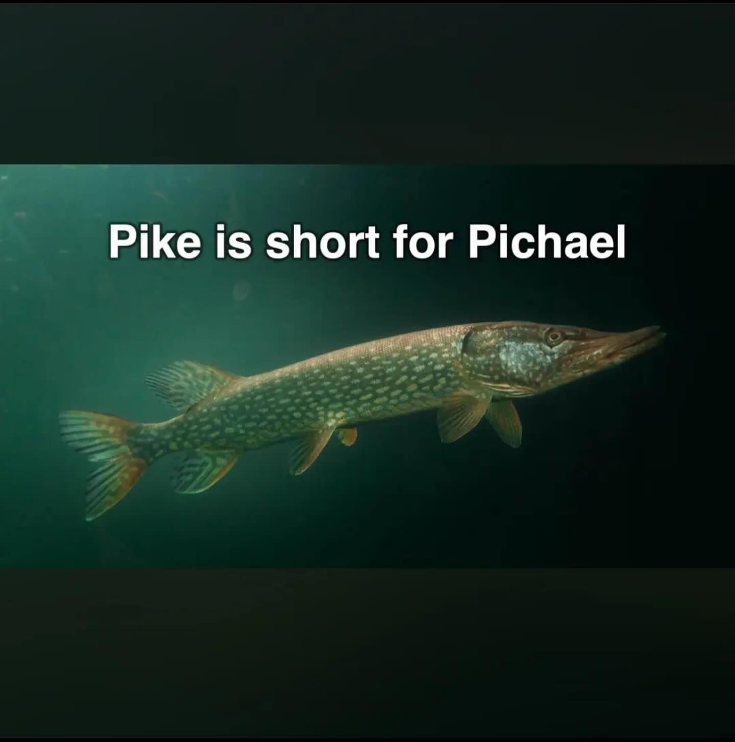 Pike is short for Pichael