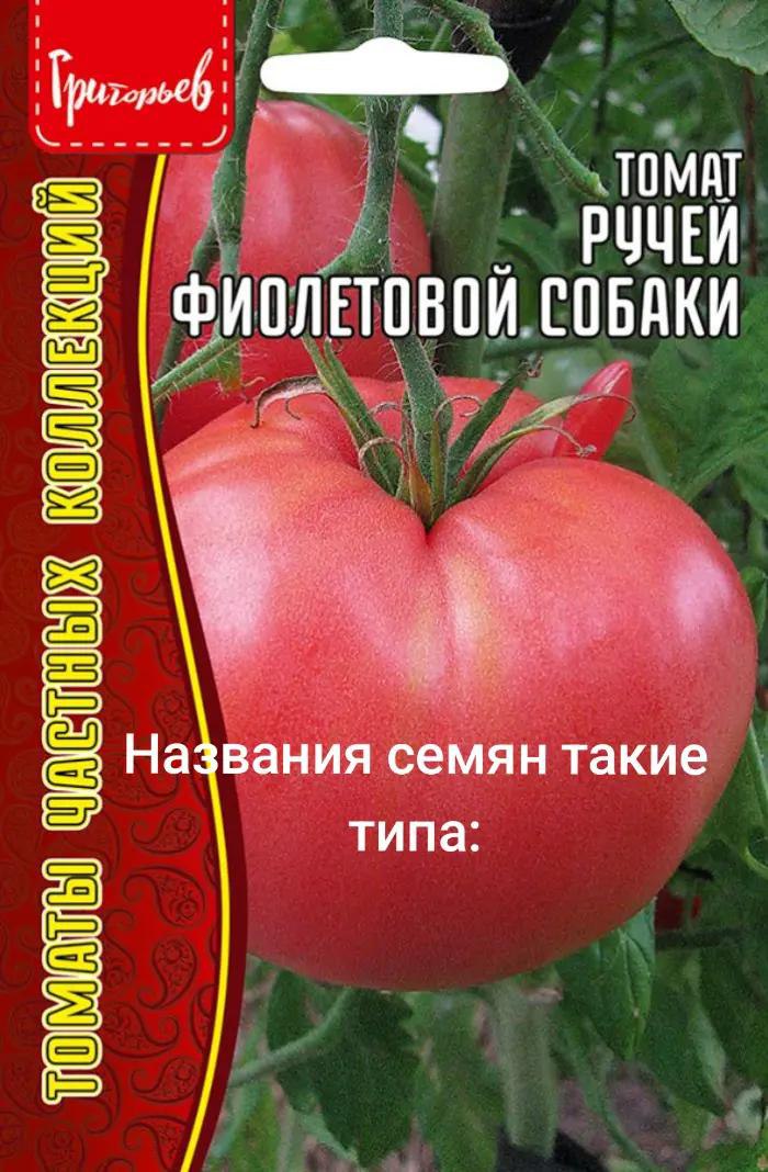 ФИОЛЕТОВОЙ. СОБАКИ Названия семян такие типа: