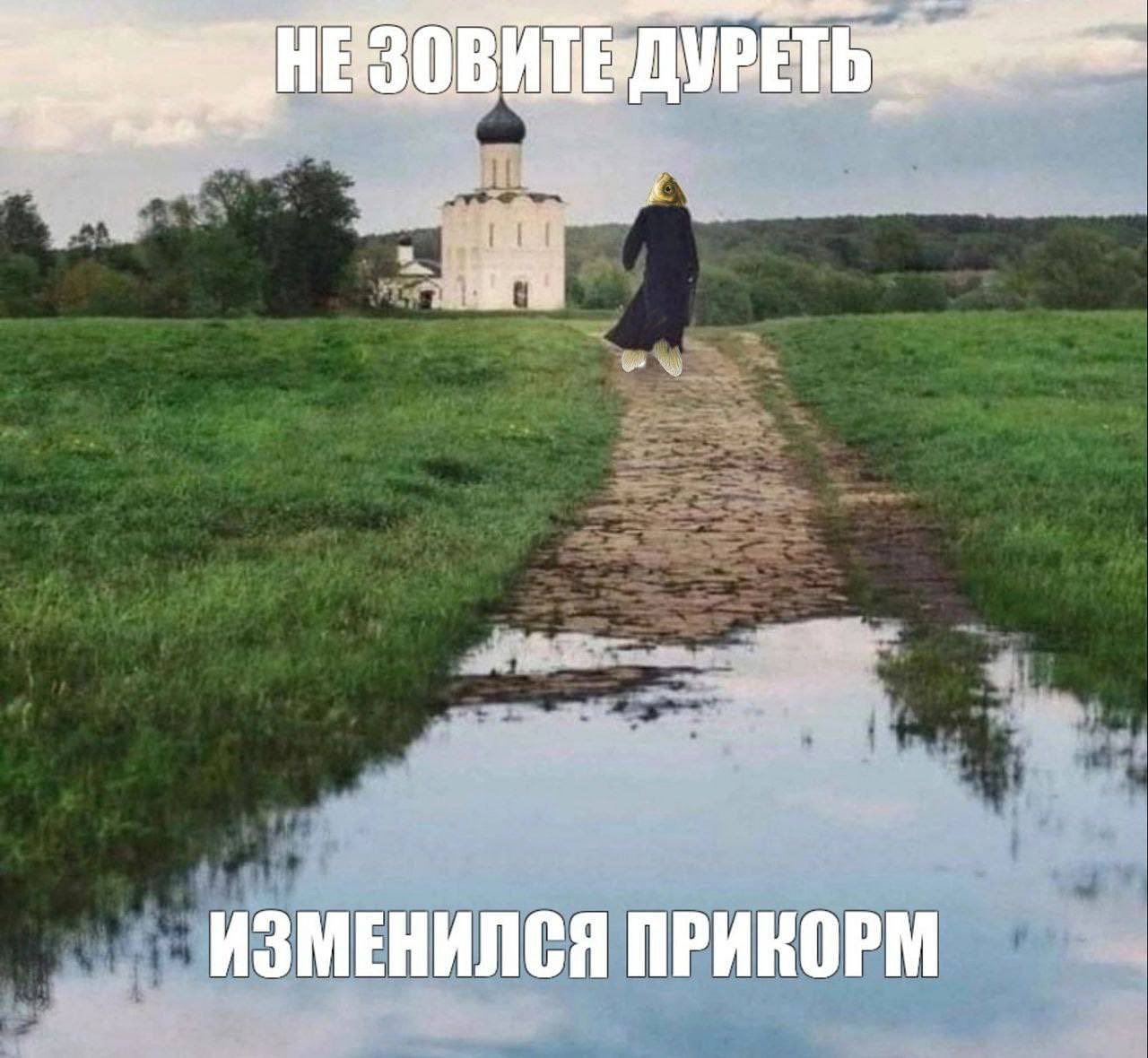НЕЗОВ All ДУРЕ ИЗМЕНИЛСЯ ПРИКОРМ