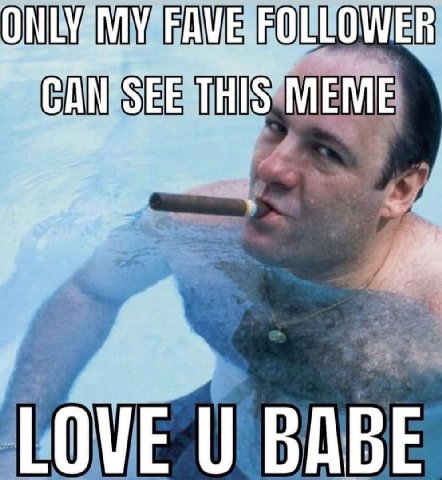 FOLLOWER MEME LOVE BABE