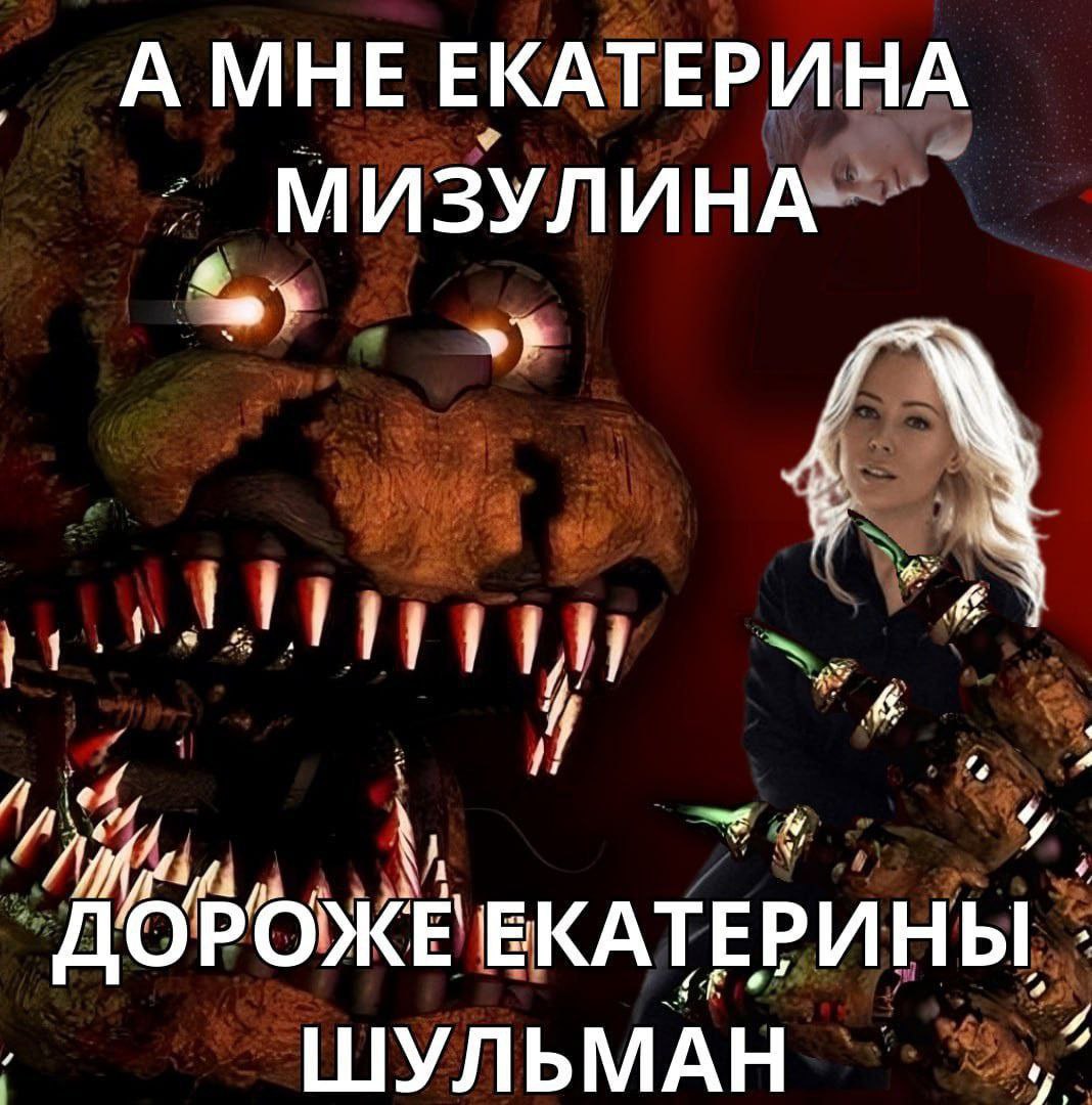АМНЕ ЕКАТЕРИНА МИЗУЛИНА 4 ДОРОЖЕЕКАТЕРИНЫ ШУЛЬМАН