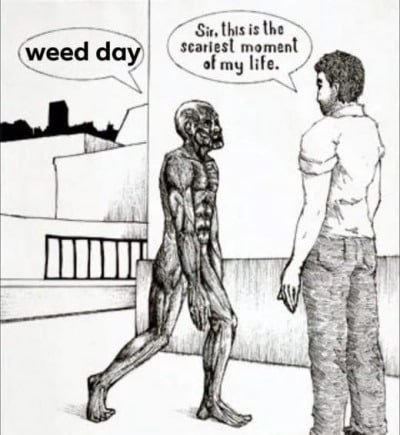 this is the Scaries| momen weed doy i\ a