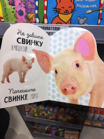 моя религия