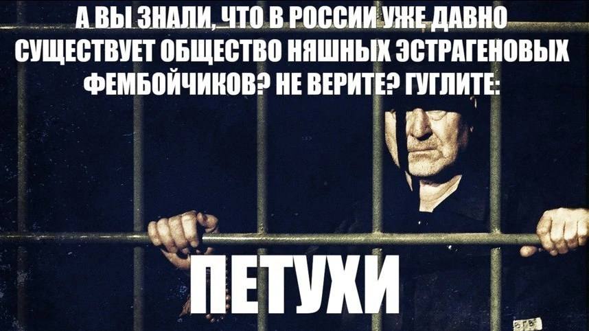 АВЫ ЗНАЛИ, ЧТО В РОССИИ УЖЕ ДАВНО СУЩЕСТВУЕТ ОБЩЕСТВО НЯШНЫХ ЭСТРАГЕНОВЫХ ФЕМБОИЧИКОВ? НЕ ГУГЛИТЕ: ПЕТУХИ