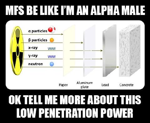 BE LIKE AN ALPHA MALE a particles В particles x-ray y-ray WWW neutron Aluminum Paper Lead Concrete plate TELL ME MORE ABOUT THIS LOW PENETRATION POWER