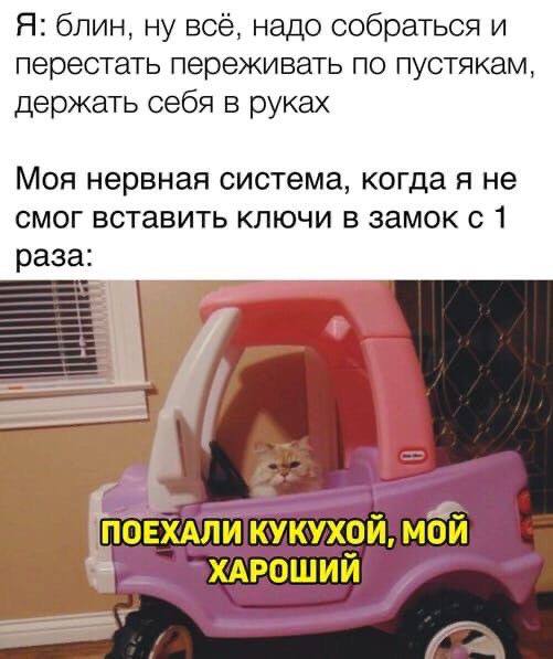 Я: блин, ну всё, надо собраться и перестать переживать по пустякам, держать себя в руках Моя нервная система, когда я не смог вставить ключи в замок с 1 раза: ПОЕХАЛИ КУКУХОЙ, МОЙ ХАРОШИЙ