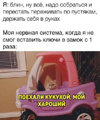 Я: блин, ну всё, надо собраться и перестать переживать по пустякам, держать себя в руках Моя нервная система, когда я не смог вставить ключи в замок с 1 раза: ПОЕХАЛИ КУКУХОЙ, МОЙ ХАРОШИЙ