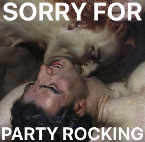 SORRY FOR PARTY ROCKING