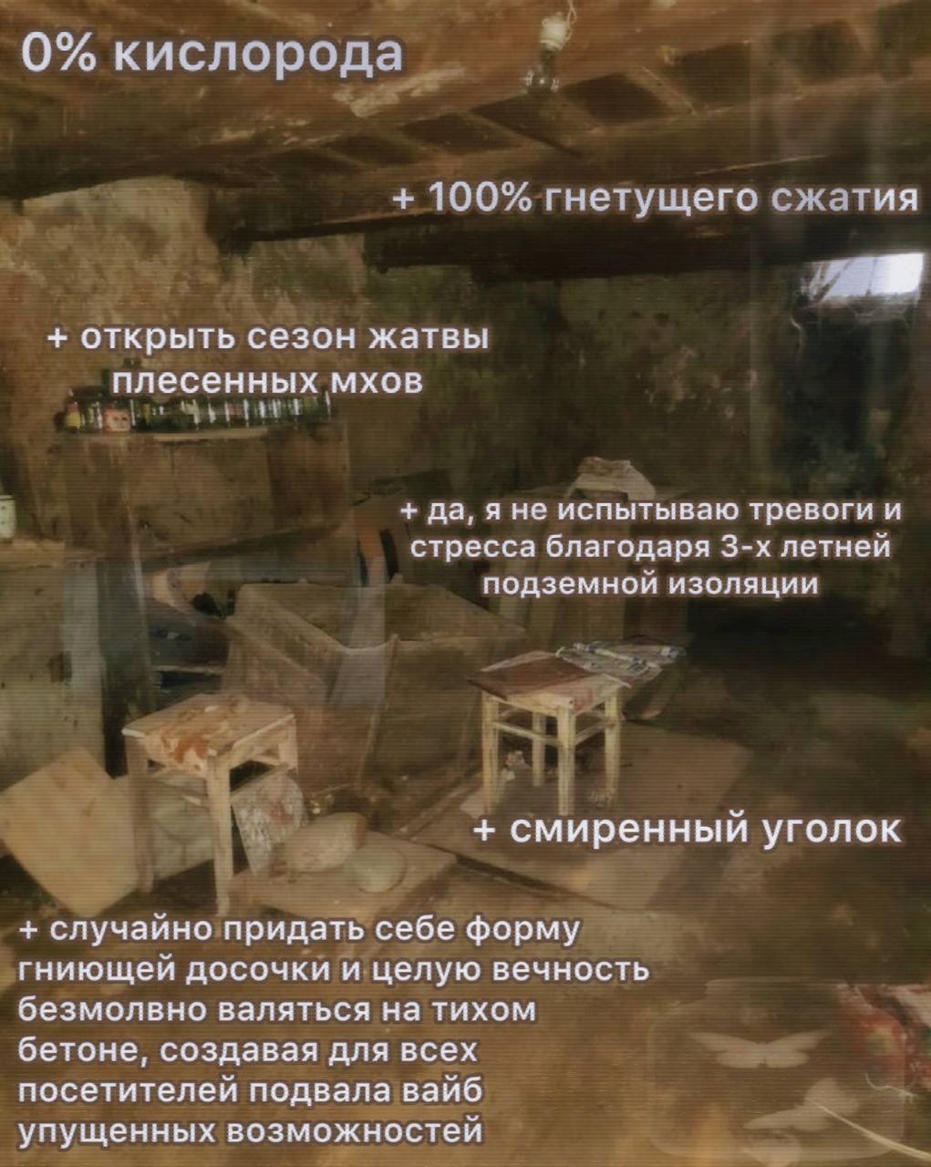 о 0% кислорода 100% гнетущего сжатия открыть сезон жатвы плесенных мхов да, я не испытываю тревоги и стресса благодаря летней подземной изоляции смиренный уголок случайно придать себе форму гниющей до