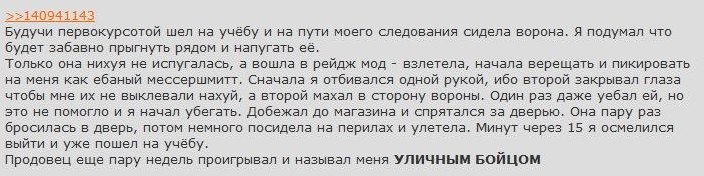 >>140941143 Будучи первокурсотой шел на учёбу и на пути моего следования сидела ворона. Я подумал что будет забавно прыгнуть рядом и напугать её. Только она нихуя не испугалась, а вошла в рейдж мод вз