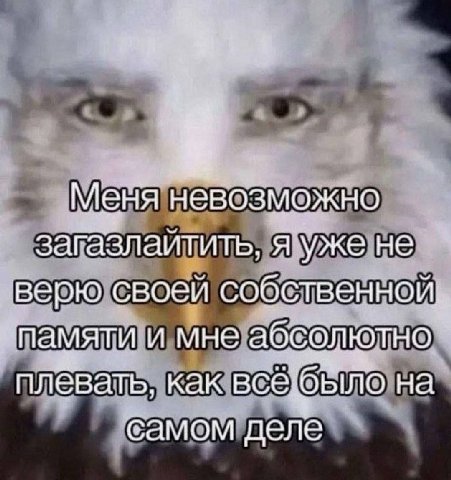 4 Меня невозможно загазлаитить, я уже не верю своей собственнои.. памяти и мне абсолютно плёвать, как всё: на самом деле