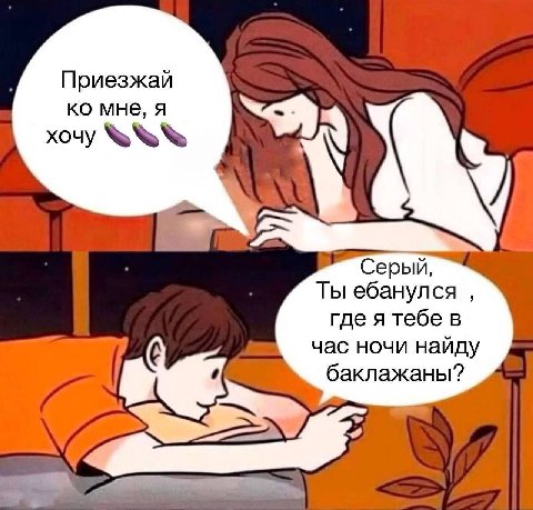 Приезжай мне, я хочу BRR Серый, Ты ебанулся где я тебе в час ночи найду баклажаны?
