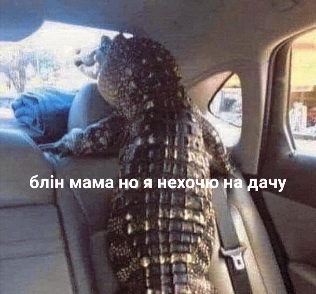 к 6niH мама но я нехоцю на дачу