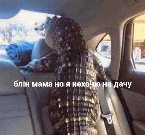 к 6niH мама но я нехоцю на дачу
