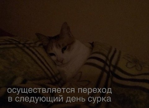 осуществляется переход в следующий день сурка