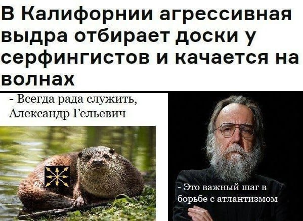 В Калифорнии агрессивная выдра отбирает доски у серфингистов и качается на волнах Всегда рада служить, Александр Гельевич 3 Это важныи Mar в борьбе с атлантизмом