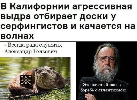 В Калифорнии агрессивная выдра отбирает доски у серфингистов и качается на волнах Всегда рада служить, Александр Гельевич 3 Это важныи Mar в борьбе с атлантизмом