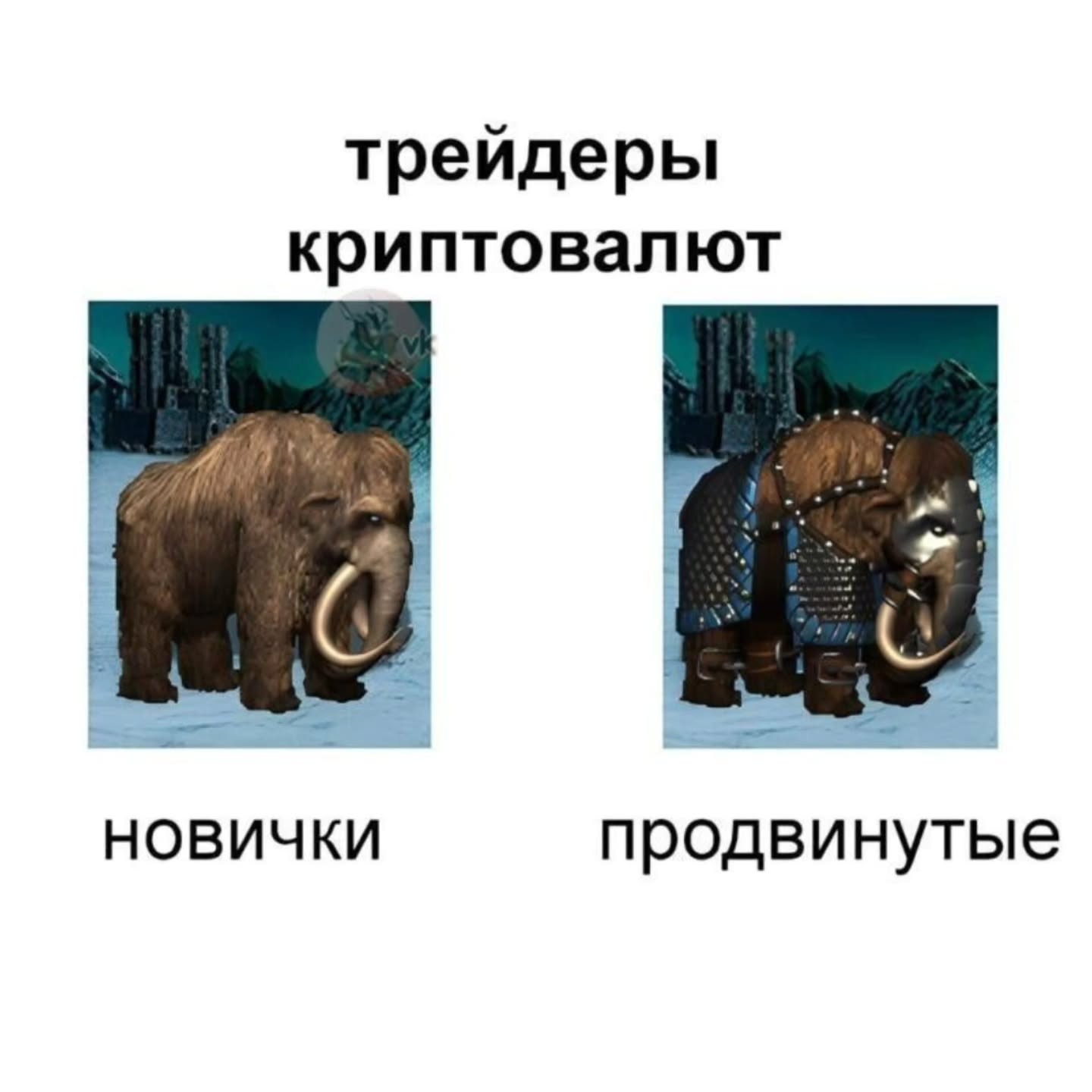 трейдеры криптовалют НОВИЧКИ продвинутые