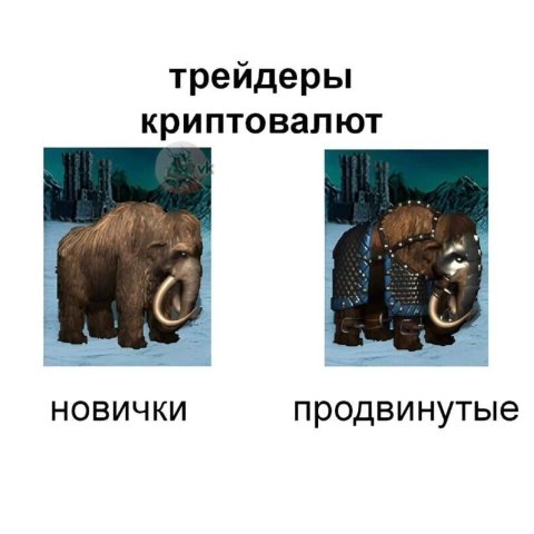 трейдеры криптовалют НОВИЧКИ продвинутые