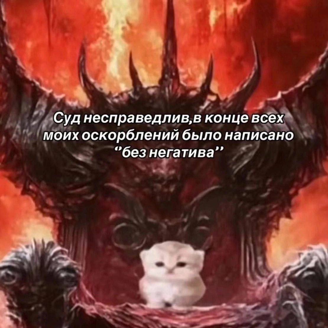 Суд несправедлив,в конце всех моих оскорблений было написано ’безнегатива” 4