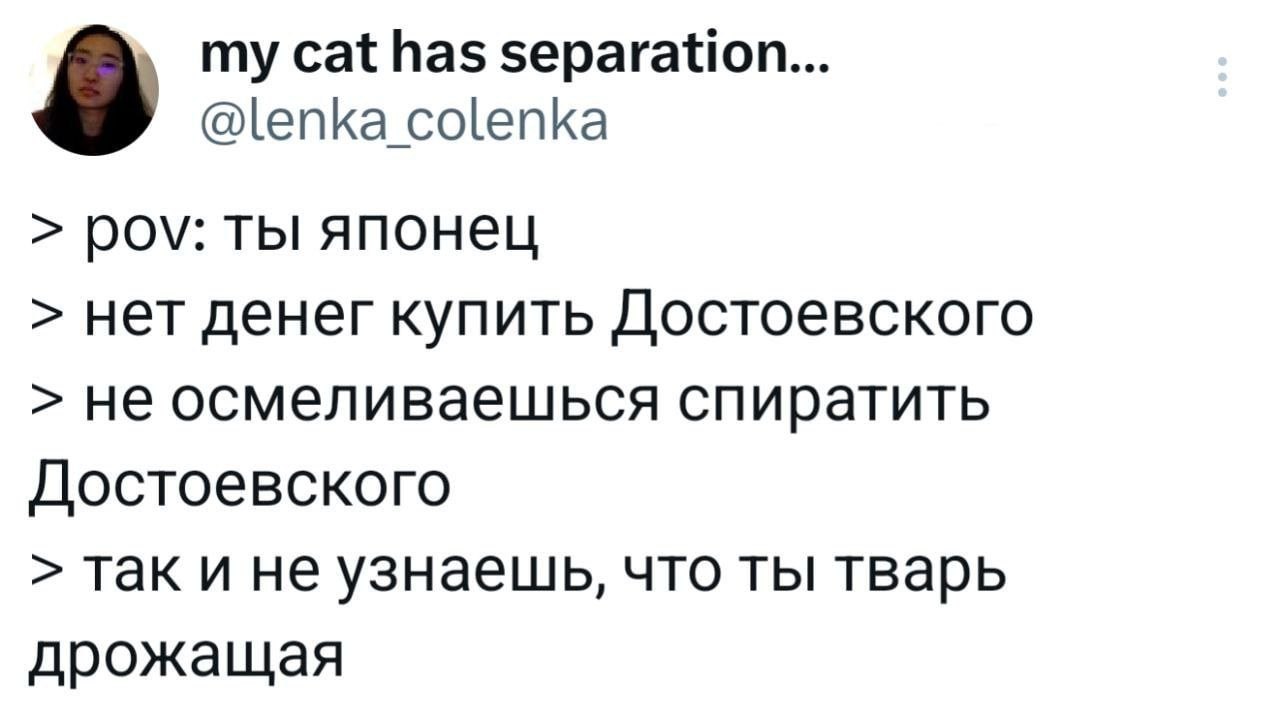 8 my cat has separation... @lenka colenka POV: ты японец нет денег купить Достоевского не осмеливаешься спиратить Достоевского так и не узнаешь, что ты тварь дрожащая