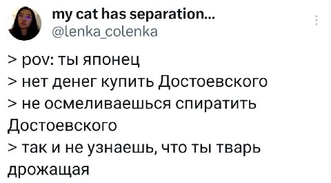 8 my cat has separation... @lenka colenka POV: ты японец нет денег купить Достоевского не осмеливаешься спиратить Достоевского так и не узнаешь, что ты тварь дрожащая