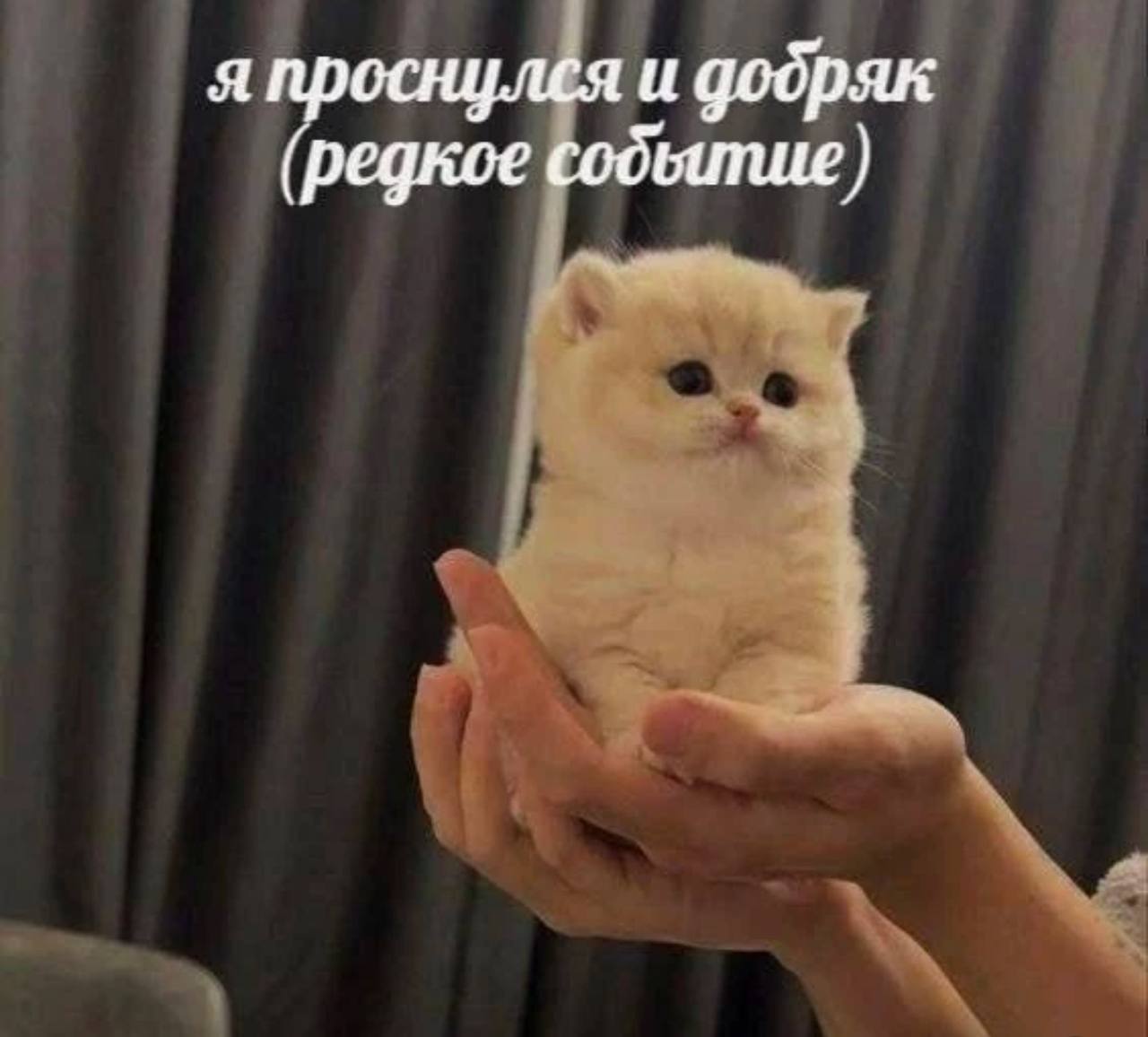 я проснулся и додряк (редкое содбитие)