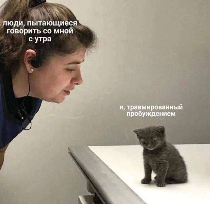 люди, пытающиеся говорить мной с утра я, травмированный пробуждением