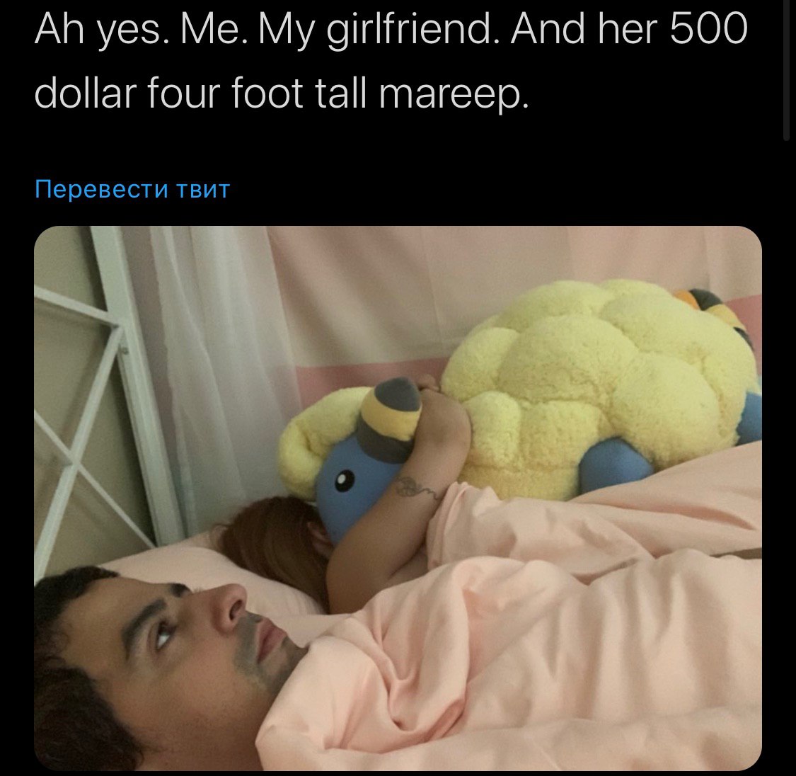 yes. girlfriend. And her 500 dollar four foot tall mareep. Перевести твит