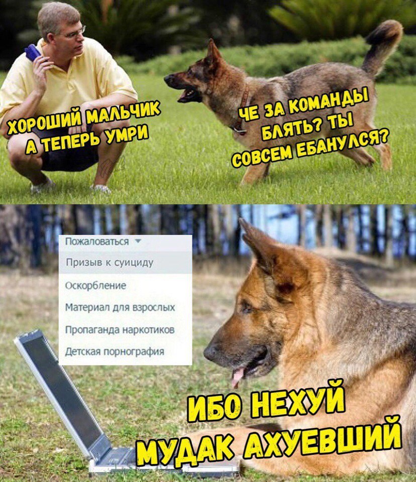 Рош БАЯТ A? ЕРЬ УМР БАНУ Пожаловаться Призыв к суициду Оскорбление Материал для взрослых Пропаганда наркотиков Детская порнография 2 HEX ИБС a ЕВШИ МУД