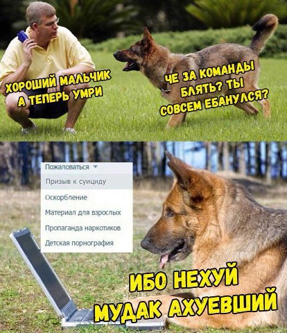 Рош БАЯТ A? ЕРЬ УМР БАНУ Пожаловаться Призыв к суициду Оскорбление Материал для взрослых Пропаганда наркотиков Детская порнография 2 HEX ИБС a ЕВШИ МУД