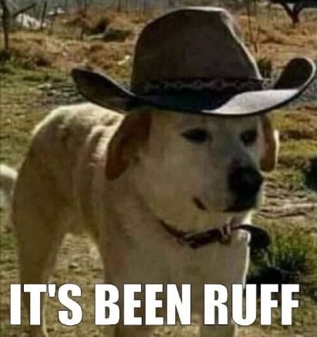 4 IT'S BEEN RUFF