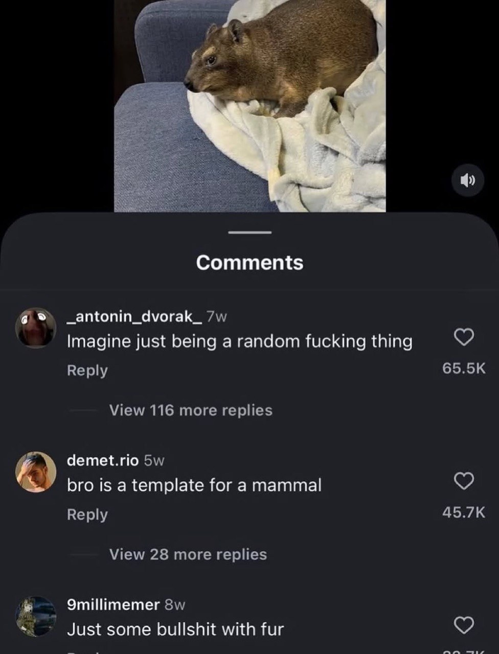 Comments _antonin_dvorak_ Imagine just being a random fucking thing Reply View 116 more replies demet.rio bro is a template for a mammal Reply 45.7К View 28 more replies к. Just some bullshit with fur