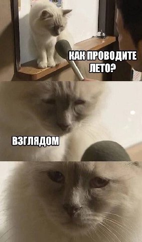я КАК ПРОВОДИТЕ
